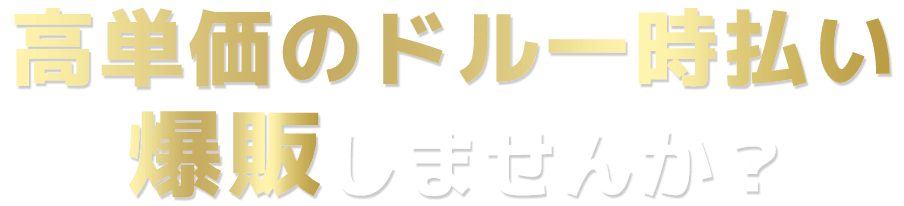 高単価のドル一時払い爆販しませんか？