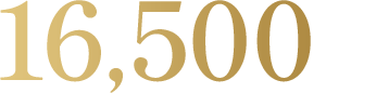16,500円（税込）
